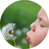 Allergy Free